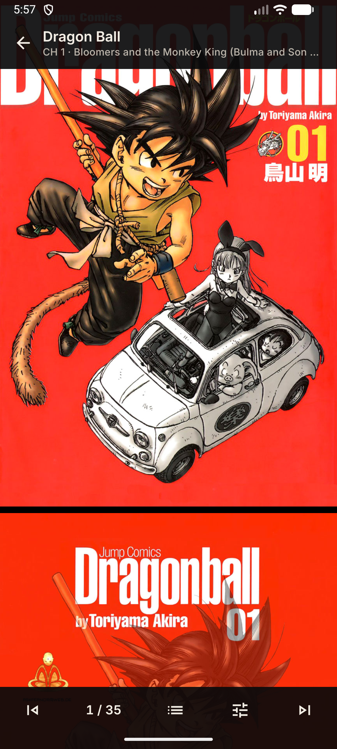 Built-In Manga Reader